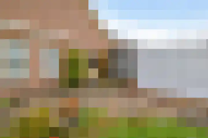 Bosweg 2 Darp thumbnail 29