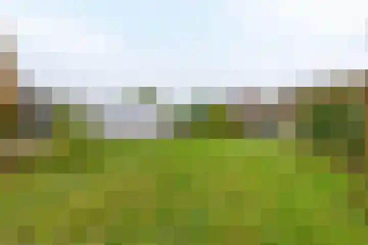 Bosweg 2 Darp thumbnail 30