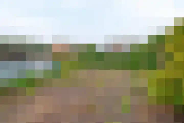 Bosweg 2 Darp thumbnail 31
