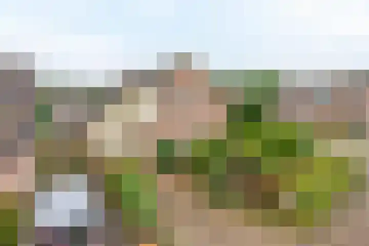 Bosweg 2 Darp thumbnail 34