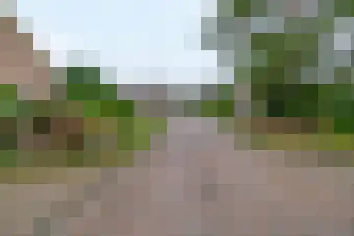 Bosweg 2 Darp thumbnail 36