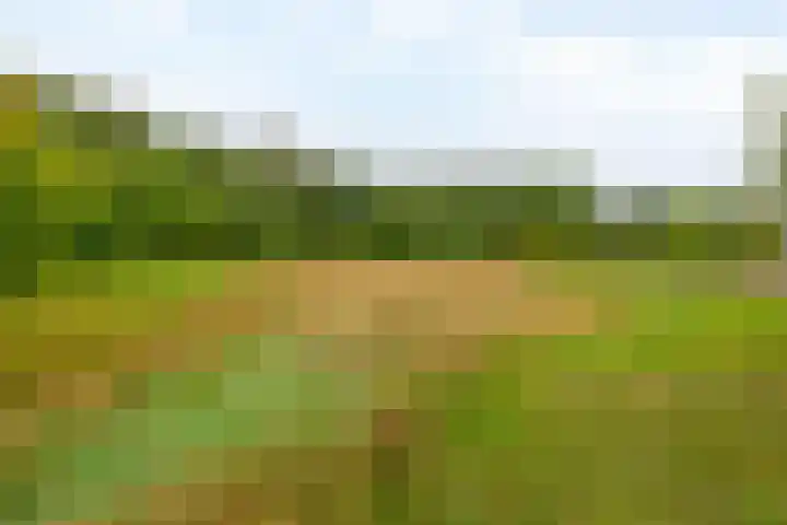Bosweg 2 Darp thumbnail 37
