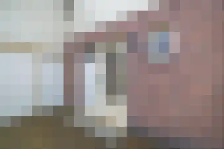 Bosweg 2 Darp thumbnail 5