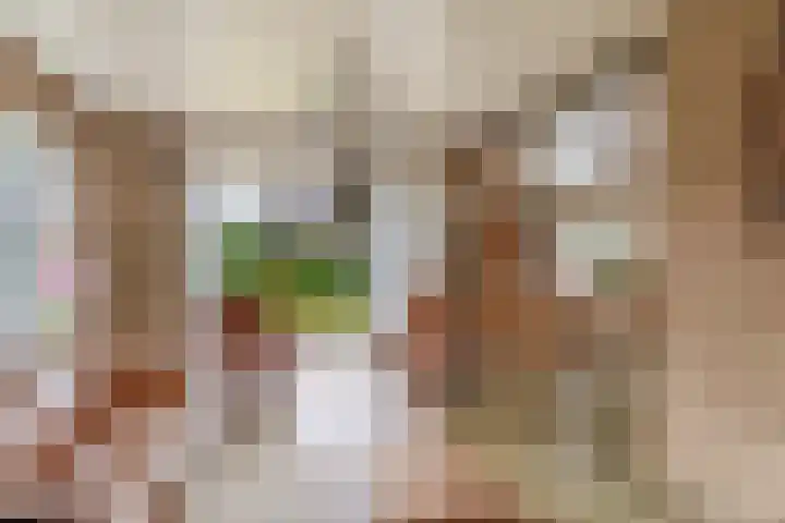 Bosweg 2 Darp thumbnail 9