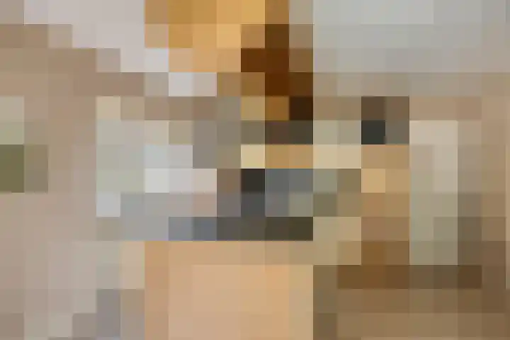 Bosweg 25 Mill thumbnail 17