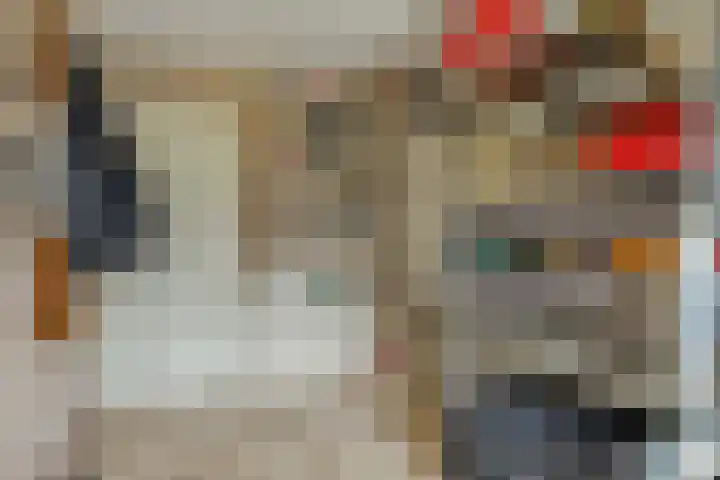 Bosweg 25 Mill thumbnail 20
