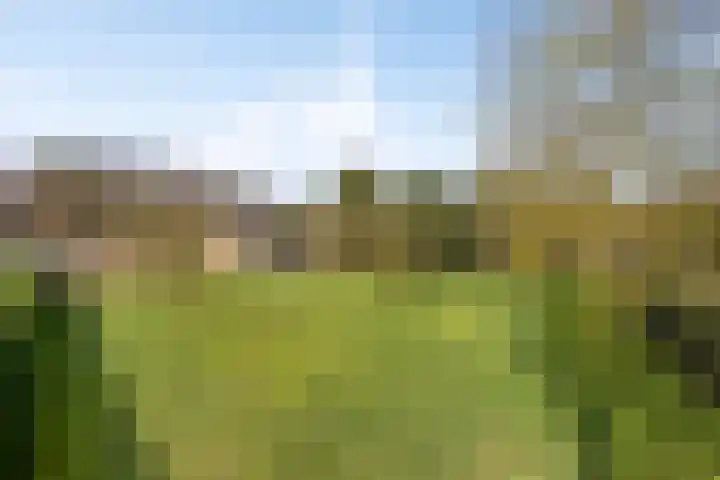 Bosweg 25 Mill foto 3