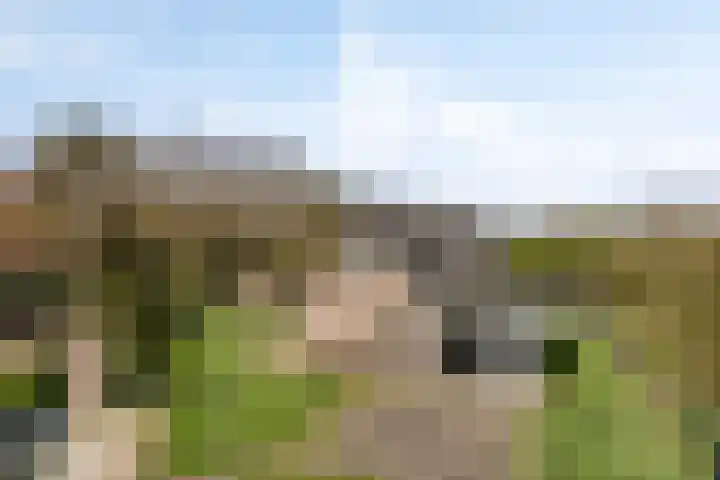 Bosweg 25 Mill thumbnail 33