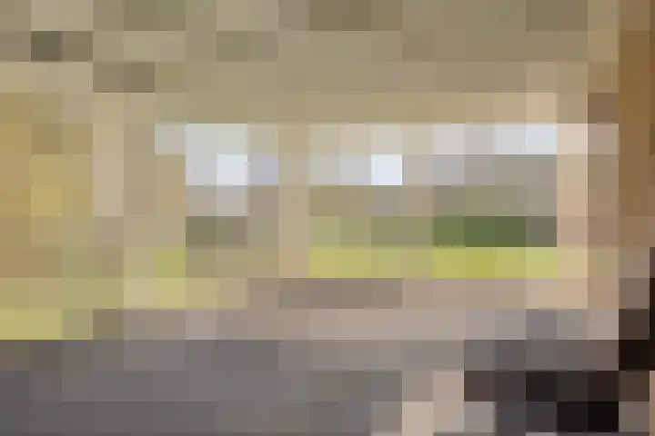 Bosweg 25 Mill thumbnail 34