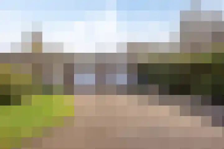 Bosweg 25 Mill thumbnail 37