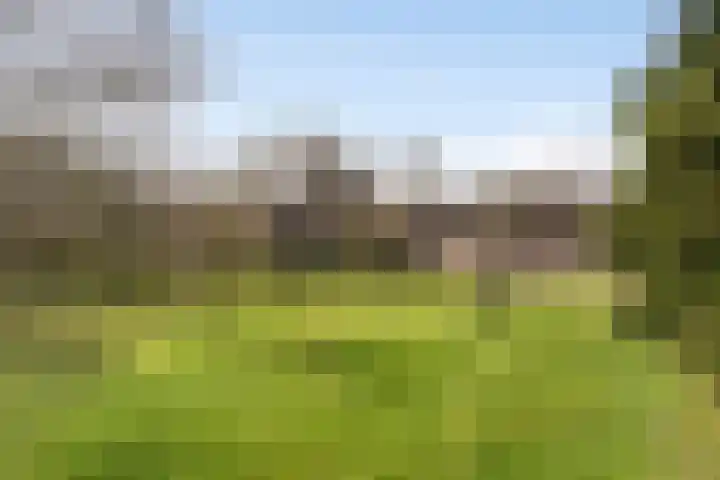Bosweg 25 Mill thumbnail 44