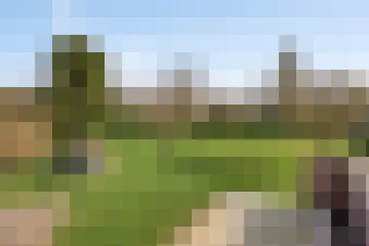 Bosweg 25 Mill thumbnail 46