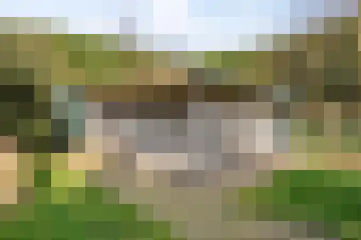Bosweg 25 Mill thumbnail 47
