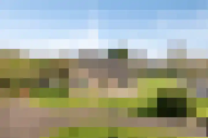 Bosweg 25 Mill thumbnail 48