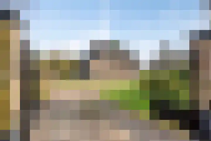 Bosweg 25 Mill thumbnail 5