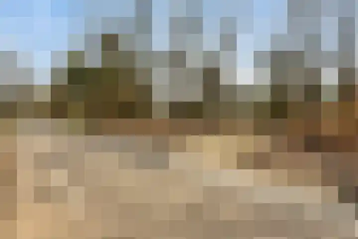 Bosweg 25 Mill thumbnail 51