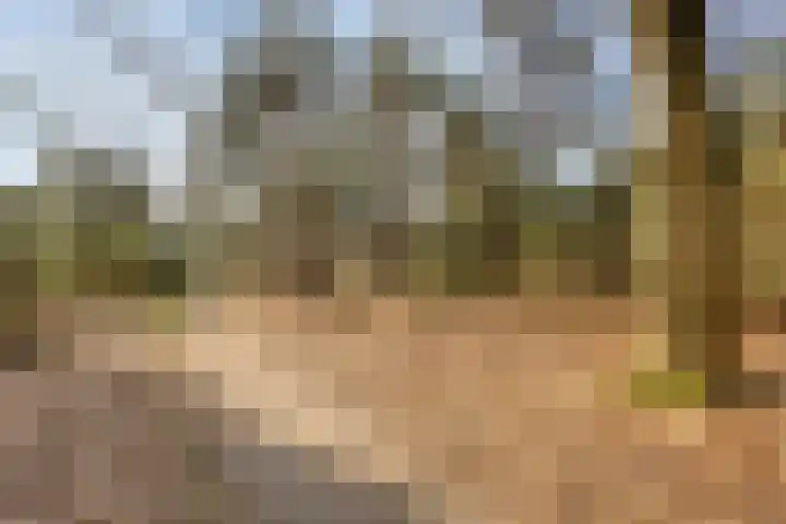 Bosweg 25 Mill thumbnail 52