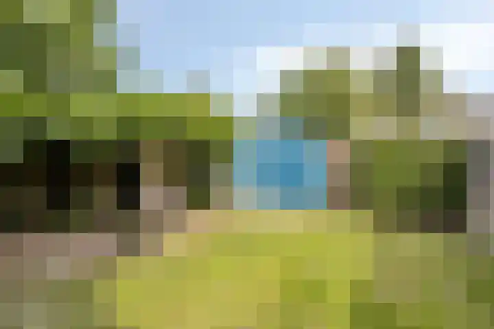 Bosweg 28 Venray thumbnail 32