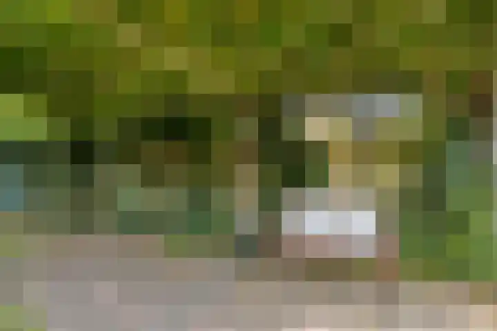 Bosweg 28 Venray thumbnail 33