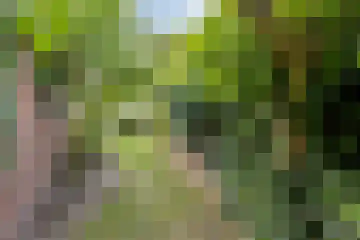 Bosweg 28 Venray thumbnail 34