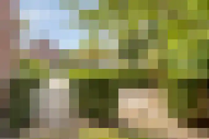 Bosweg 28 Venray thumbnail 35