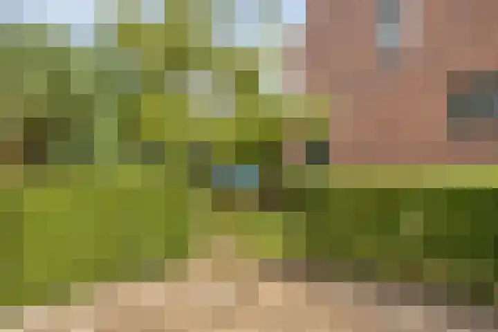 Bosweg 28 Venray thumbnail 36