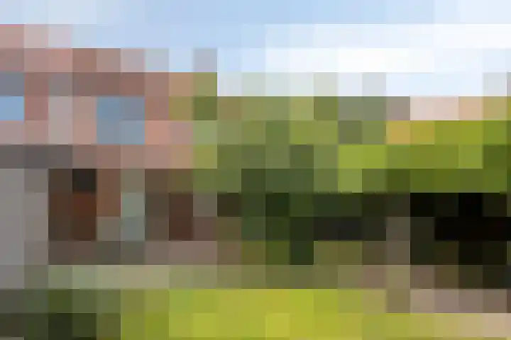 Bosweg 28 Venray thumbnail 38