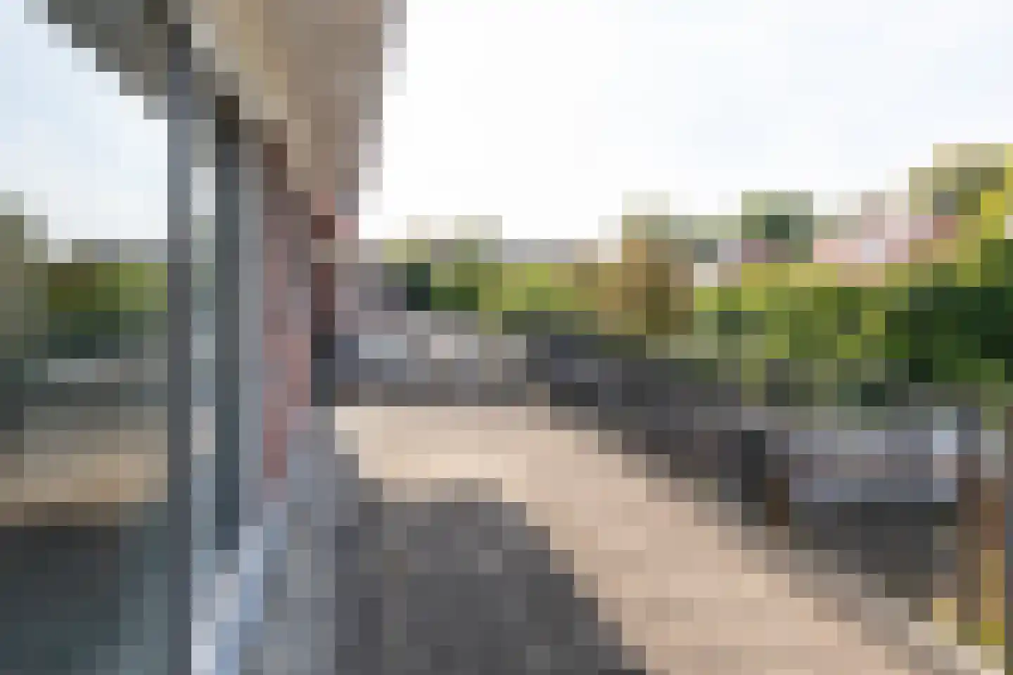 Bosweg 29 Velp thumbnail 25