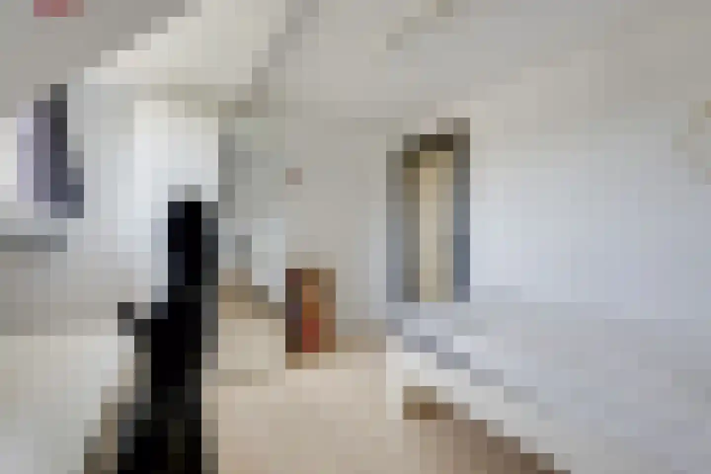 Bosweg 29 Velp thumbnail 34