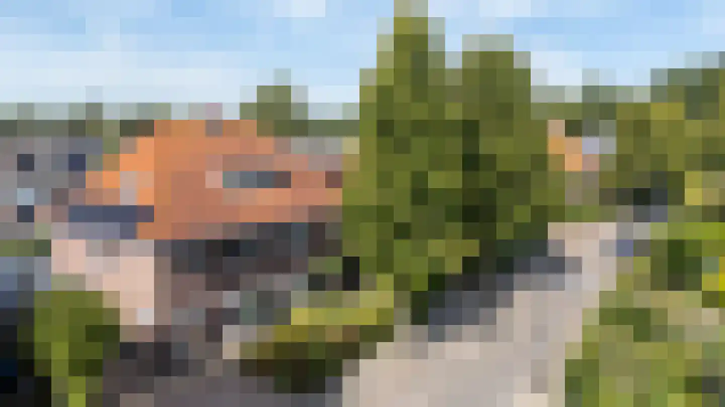 Bosweg 29 Velp thumbnail 43