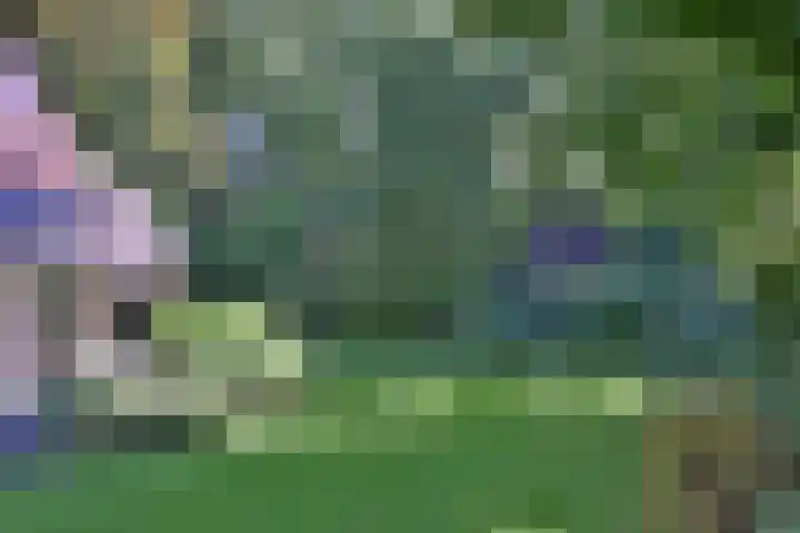 Bosweg 3 Epse thumbnail 43