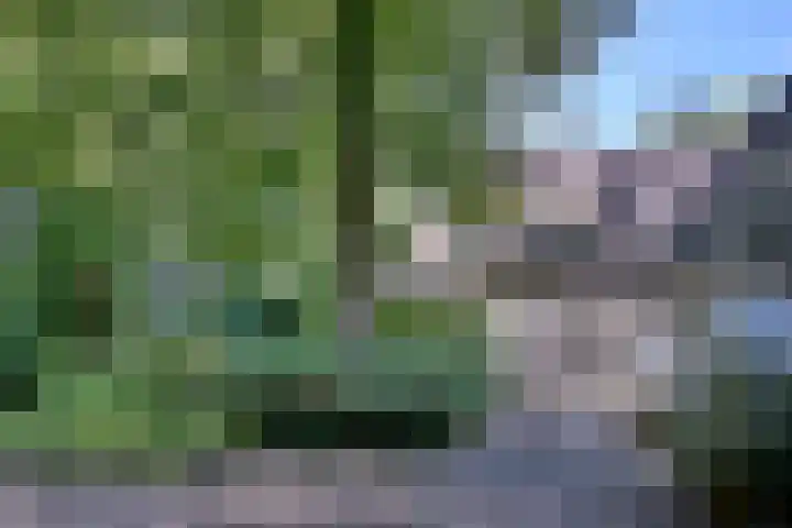 Bosweg 3 Epse thumbnail 6