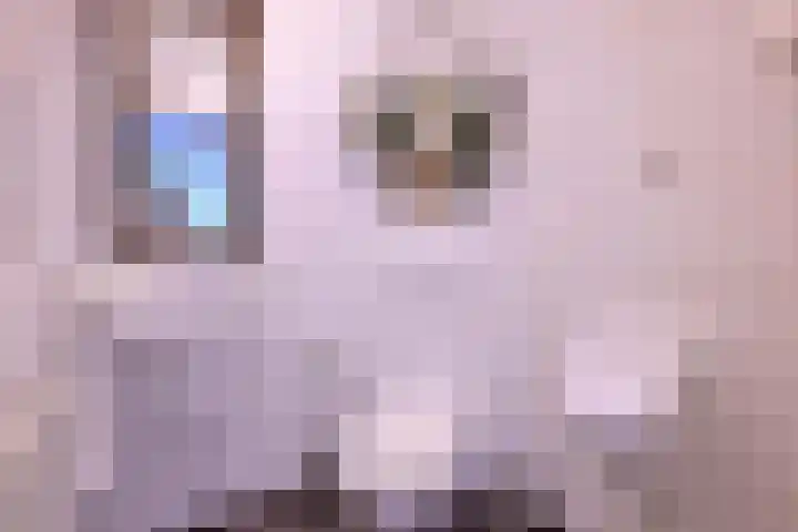 Bosweg 3 Epse thumbnail 8