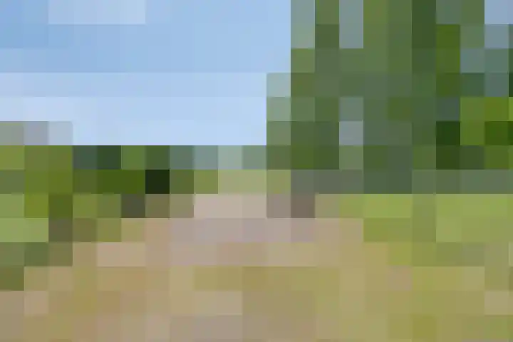 Bosweg 34 Sint Anthonis thumbnail 56