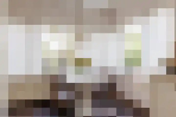 Bosweg 46 Velp thumbnail 13
