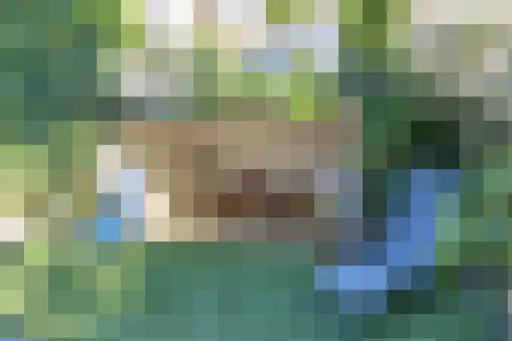 Bosweg 46 Velp thumbnail 35