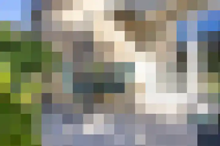 Bosweg 46 Velp thumbnail 36