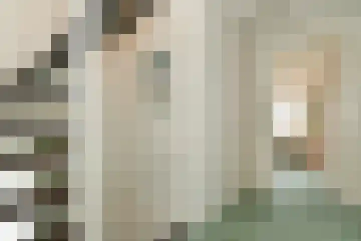 Bosweg 52 Velp thumbnail 15