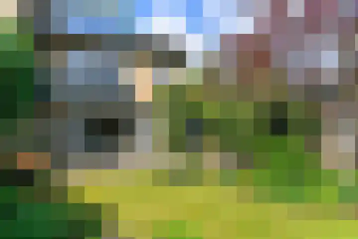 Bosweg 52 Velp thumbnail 23