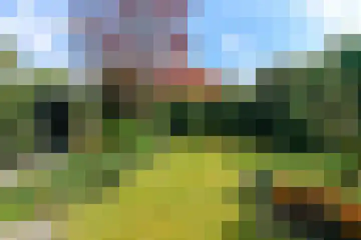 Bosweg 52 Velp thumbnail 26