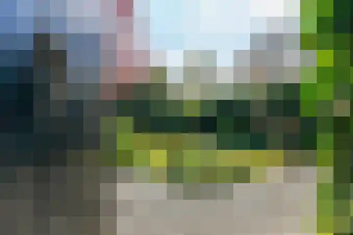 Bosweg 52 Velp thumbnail 28