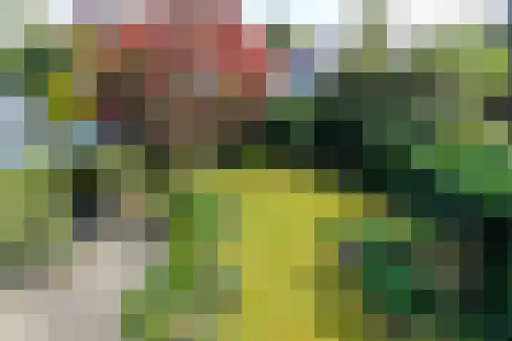 Bosweg 52 Velp thumbnail 29