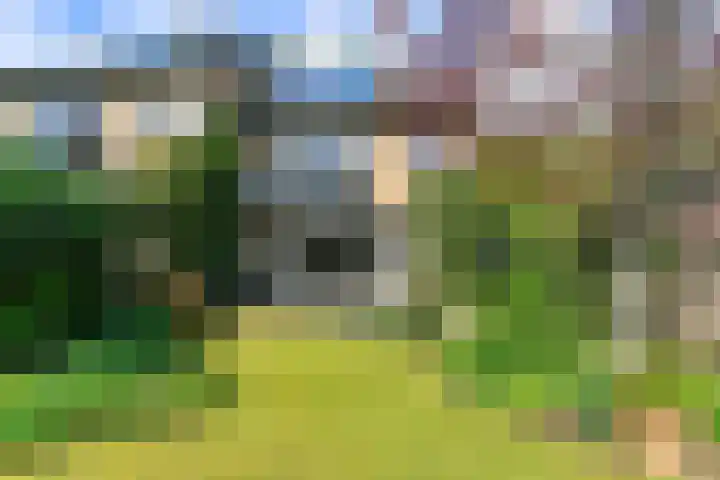 Bosweg 52 Velp thumbnail 35