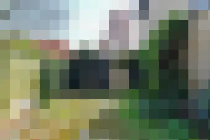 Bosweg 52 Velp thumbnail 7
