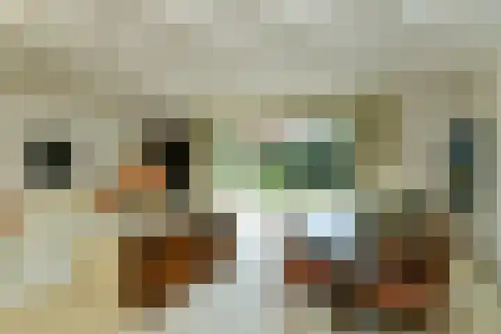 Bosweg 52 Velp thumbnail 9