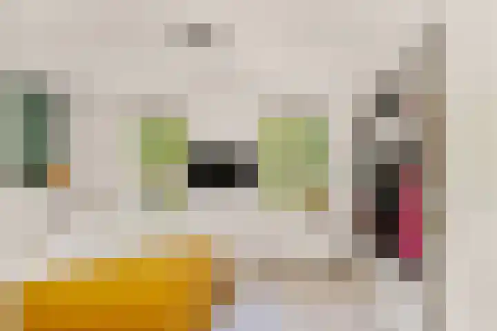 Bosweg 53 Gouda thumbnail 13