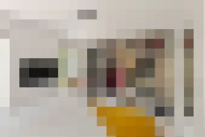 Bosweg 53 Gouda thumbnail 15