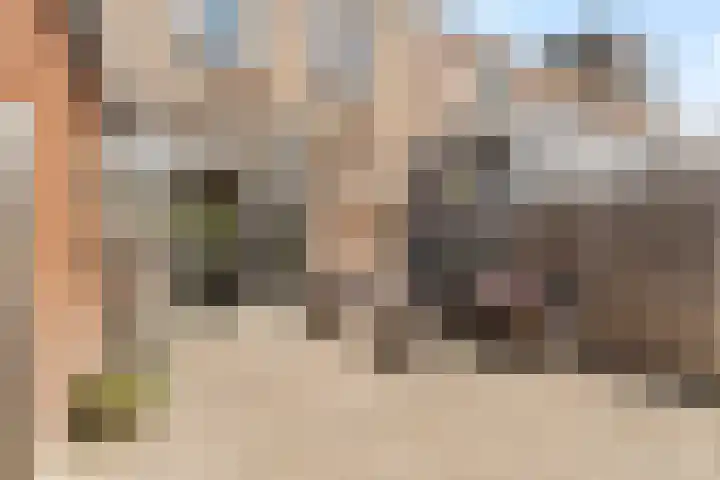 Bosweg 53 Gouda thumbnail 19