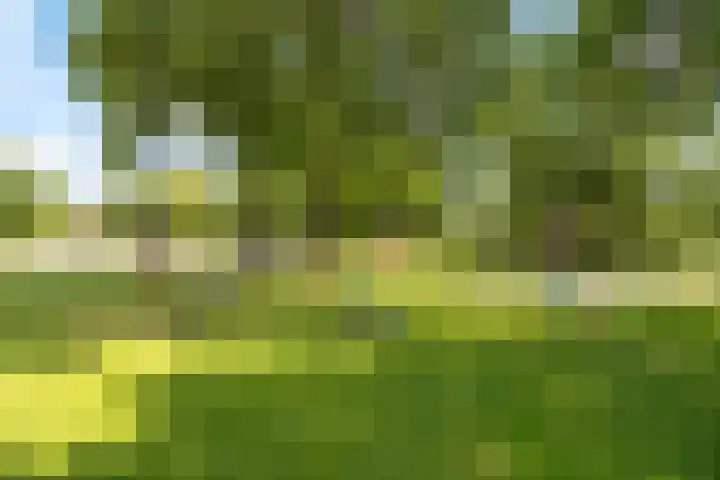 Bosweg 53 Gouda thumbnail 26