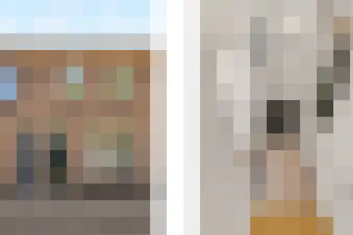Bosweg 53 Gouda thumbnail 5